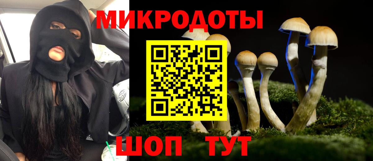 Псилоцибиновые грибы мицелий Кропоткин